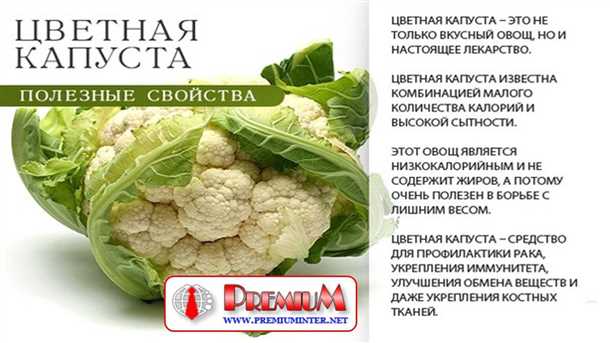 Богатые питательные вещества