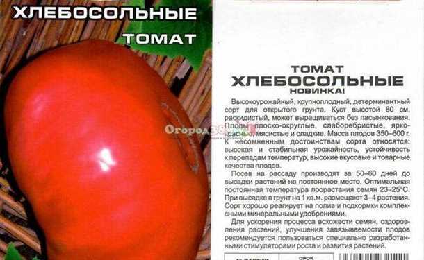 Защита от тли