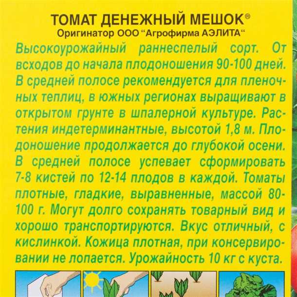 Алексей, Санкт-Петербург