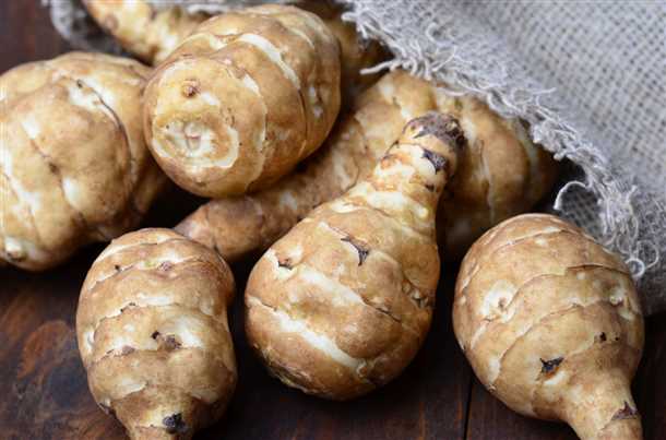 Вред топинамбура: