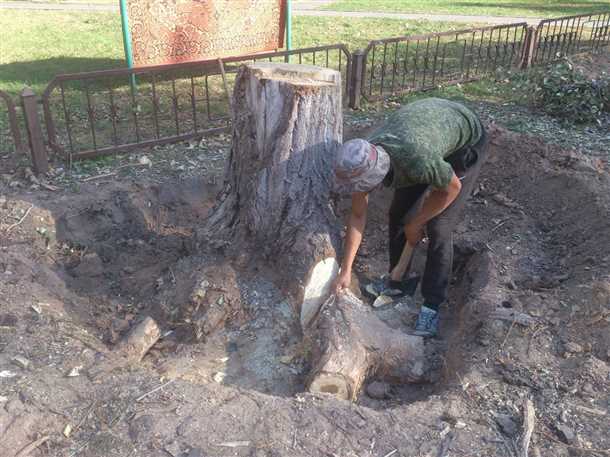 Использование химических средств
