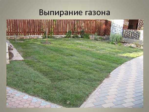 Технология укладки дорожек