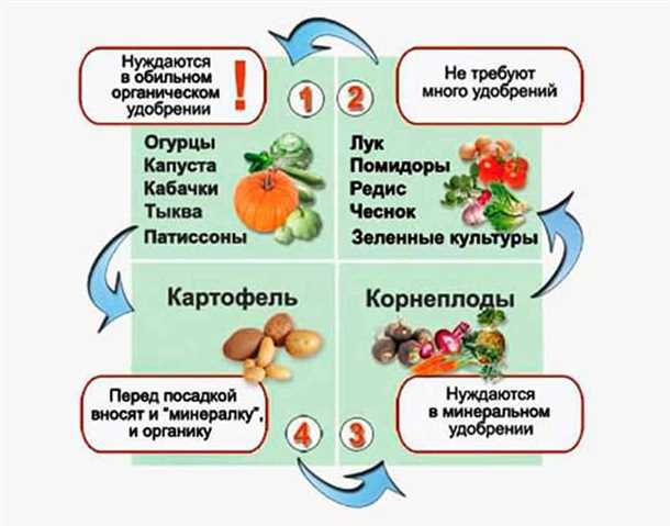 Требования к грядкам для овощных культур