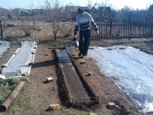 Мероприятия по уходу