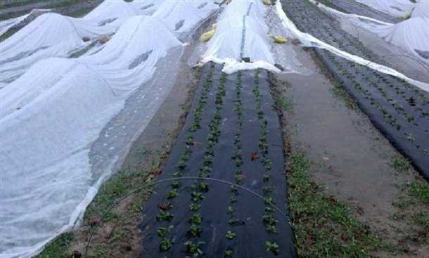 1. Поддерживайте оптимальную влажность