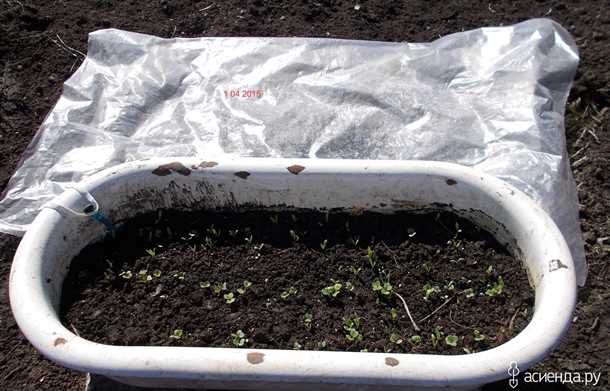 Возможные проблемы