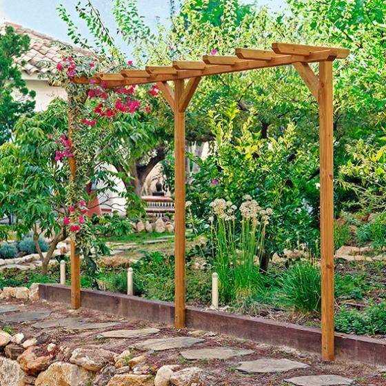 Шаг 6: Закрепление виноградной лозы