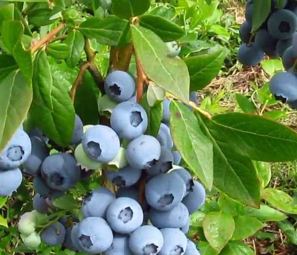 Михаил, г. Санкт-Петербург