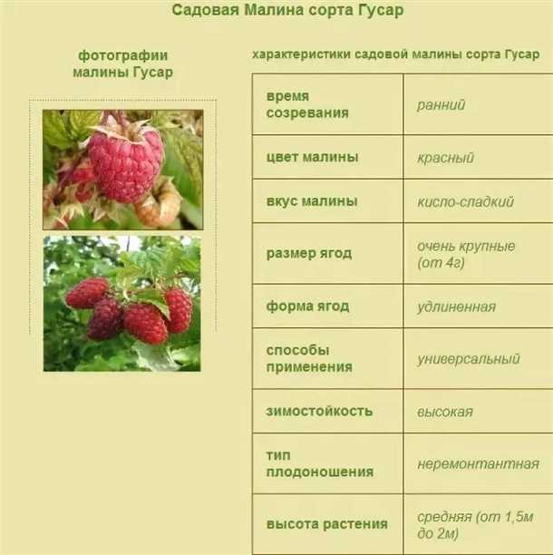 Отзывы садоводов