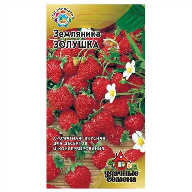 Земляника «Золушка»: отзывы садоводов и выращивание из семян Земляника «Золушка» отзывы садоводов и выращивание из семян