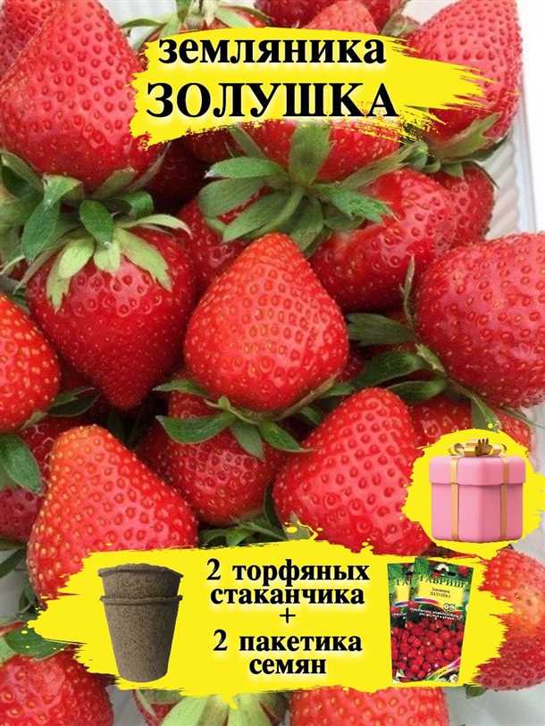 Рекомендации по уходу