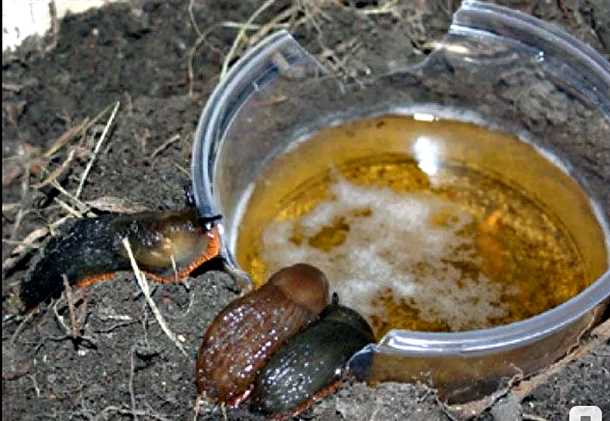 Игры и соревнования