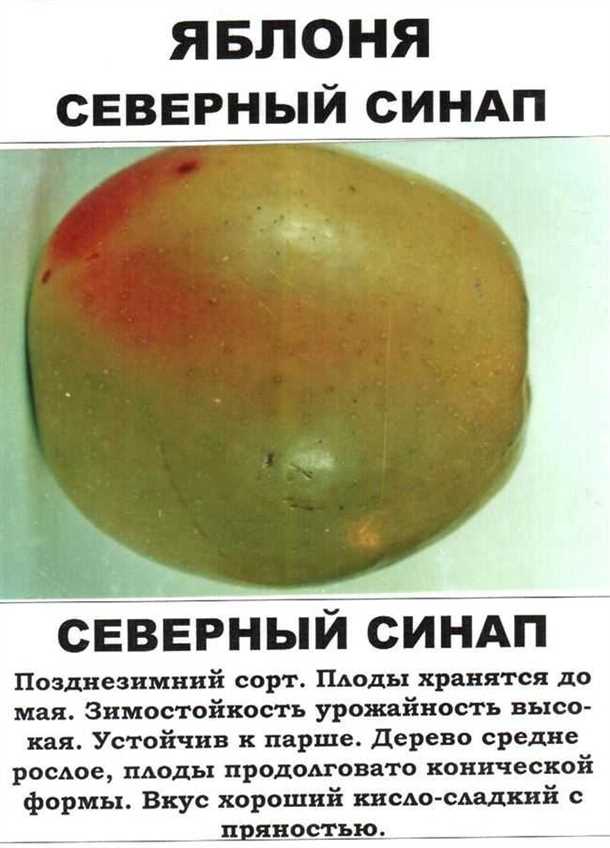 Достоинства сорта