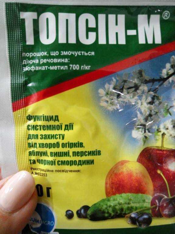 Фундазол для комнатных растений (видео)