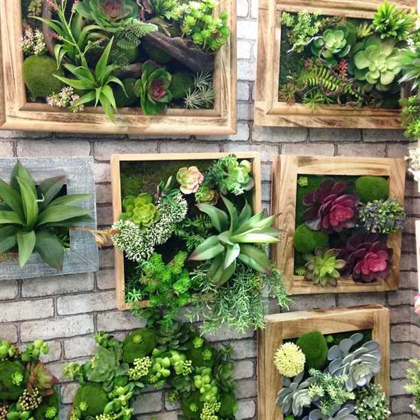 Самостоятельное изготовление живых картин из суккулентов