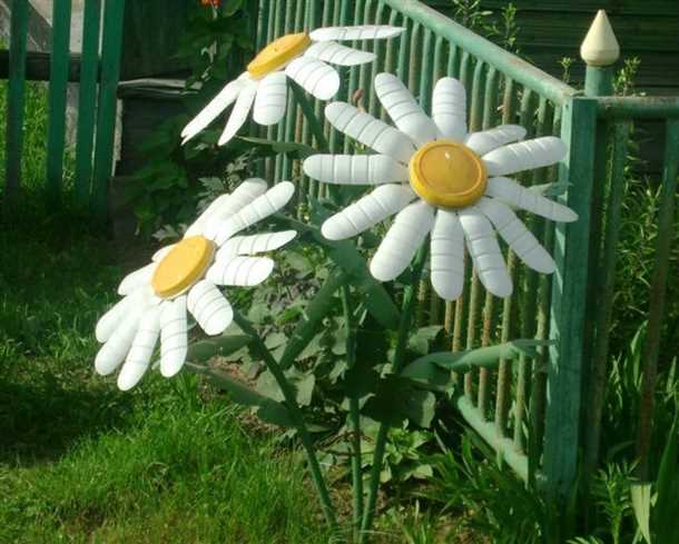 Цветы и растения